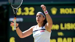 Marion Bartoli won Wimbledon in 2013