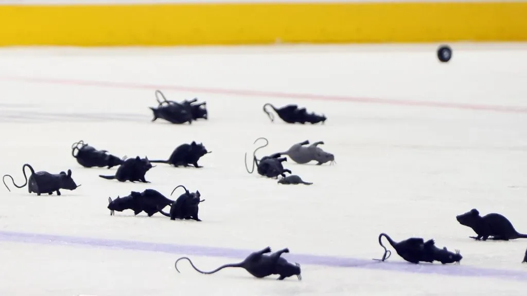 Plastic rats litter the ice following the game between the Florida Panthers and the Vegas Golden Knights in Game Three of the 2023 NHL Stanley Cup Final at FLA Live Arena on June 08, 2023 in Sunrise, Florida.