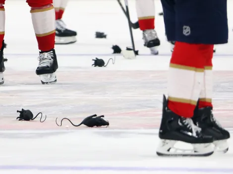 Why do Florida Panthers fans throw rats after games?