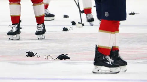 Florida Panthers players celebrate their win over the Carolina Hurricanes as plastic rats hit the ice in Game Three of the Eastern Conference Final of the 2025 Stanley Cup Playoffs at Amerant Bank Arena on May 24, 2025 in Sunrise, Florida.
