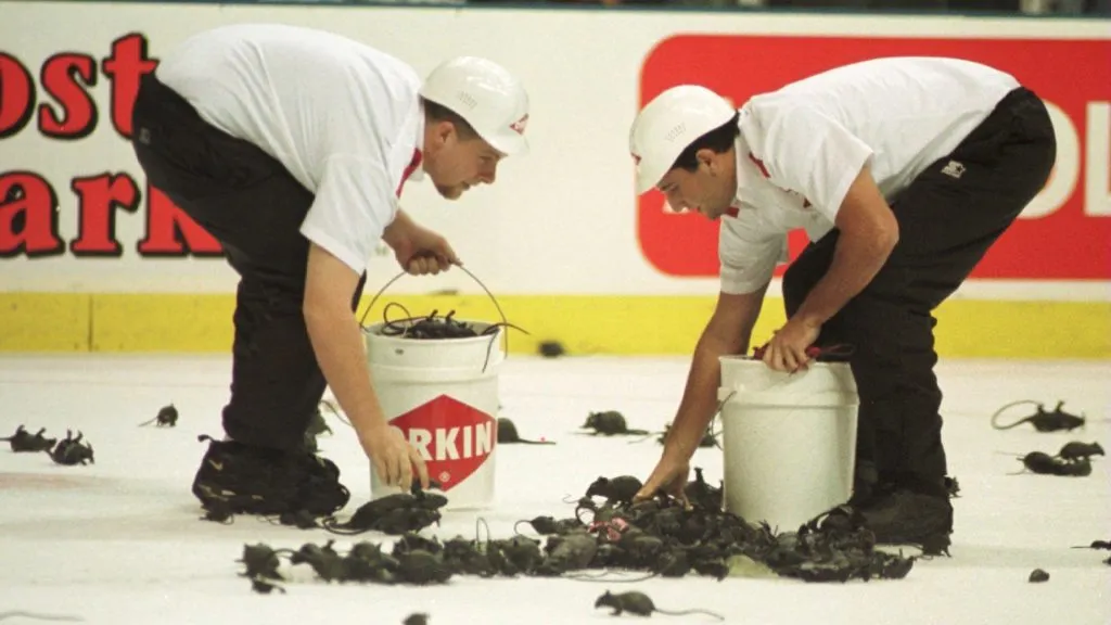 Clean-up workes clear the ice of rubber rats after Florida scored a goal during the first period of game three of the Stanley Cup Finals at Miami Arena in Miami, Florida.
