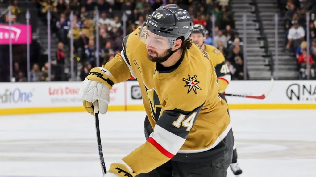 Nic Hague of the Vegas Golden Knights