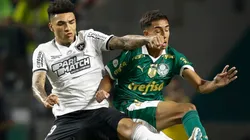 Igor Jesus (L) of Botafogo fights for the ball against Vitor Reis of Palmeiras during a match between Palmeiras and Botafogo as part of Brasileirao 2024 at Allianz Parque on November 26, 2024 in Sao Paulo, Brazil.