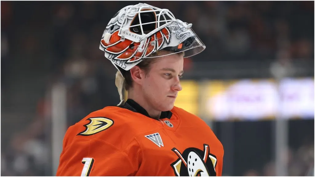 Lukas Dostal #1 of the Anaheim Ducks looks on during the first period of a game against the Winnipeg Jets at Honda Center on December 18, 2024 in Anaheim, California.
