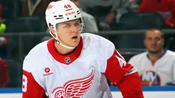 Jonatan Berggren #48 of the Detroit Red Wings skates against the New York Islanders at UBS Arena on November 25, 2024 in Elmont, New York.