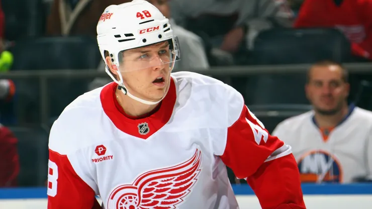 Jonatan Berggren #48 of the Detroit Red Wings skates against the New York Islanders at UBS Arena on November 25, 2024 in Elmont, New York.
