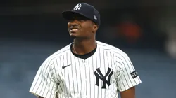 Yerry De los Santos #73 of the New York Yankees looks on.