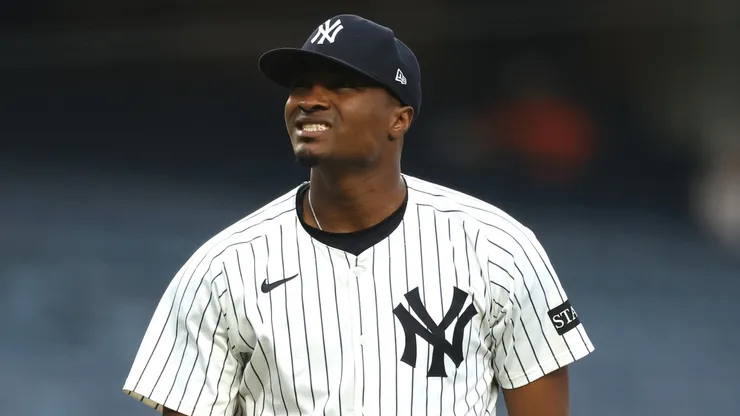 Yerry De los Santos #73 of the New York Yankees looks on.