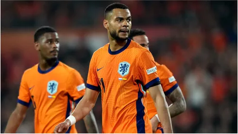 Cody Gakpo of Netherlands