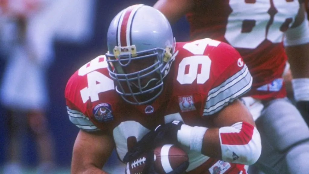 Mike Vrabel (Source: Getty Images)