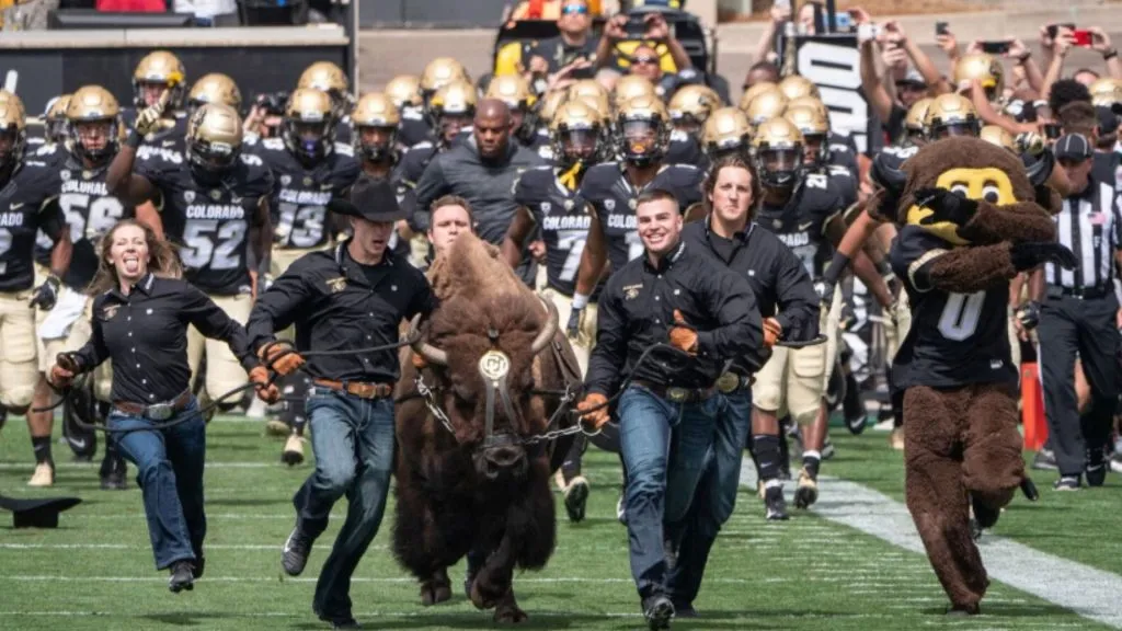 Ralphie’s run (Source: University of Colorado Boulder)