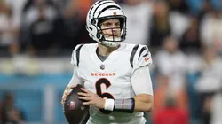 Jake Browning #6 of the Cincinnati Bengals throws a pass in 2023.