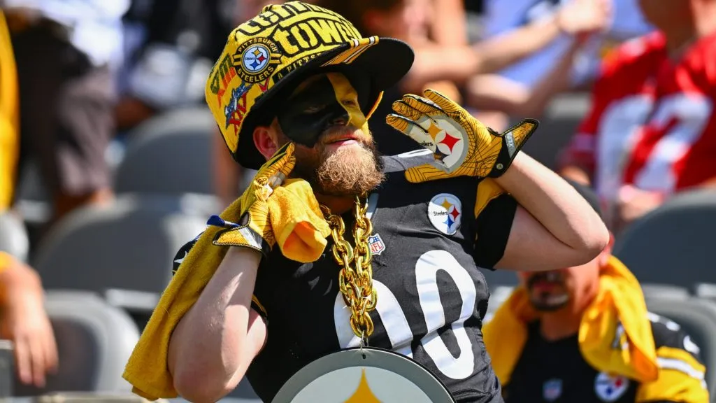 Pittsburgh Steelers fan (Source: Joe Sargent/Getty Images)