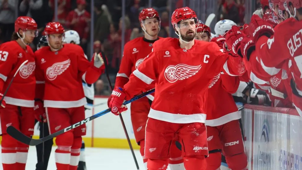 Dylan Larkin #71 of the Red Wings celebrates his goal with teammates. (Photo by Gregory Shamus/Getty Images)