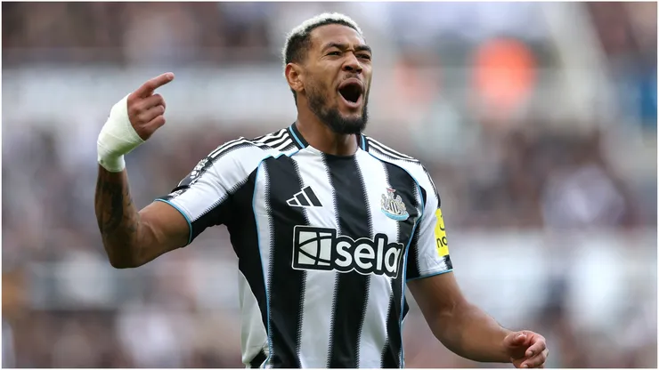 Joelinton of Newcastle United