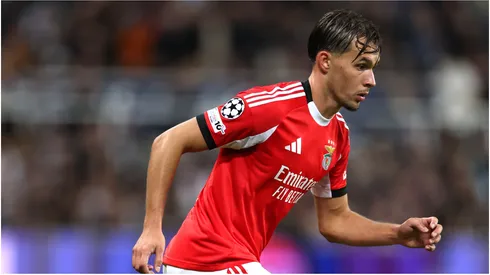 Amar Dedic of Benfica