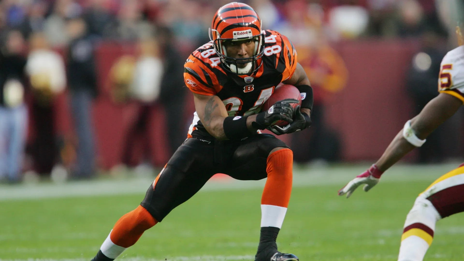 T.J. Houshmandzadeh (Source: Jamie Squire/Getty Images)