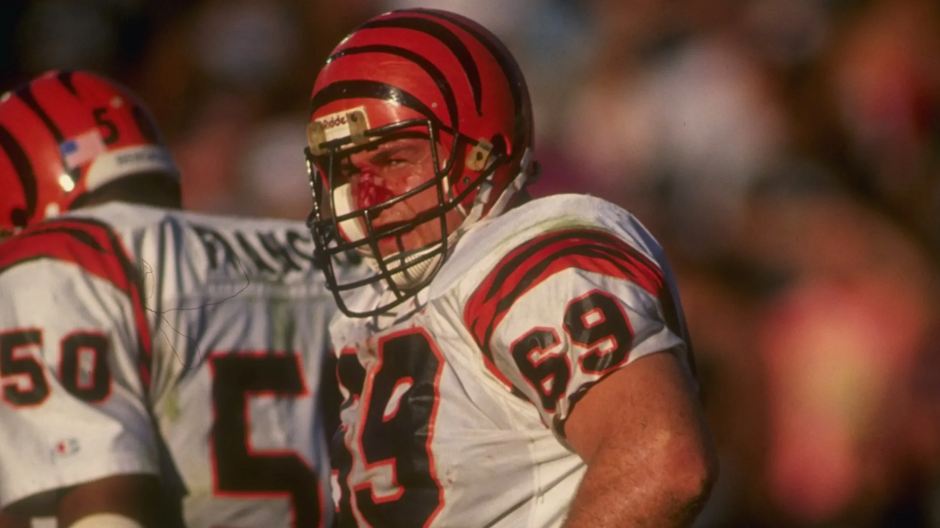 Tim Krumrie (Source: Mike Powell /Allsport)