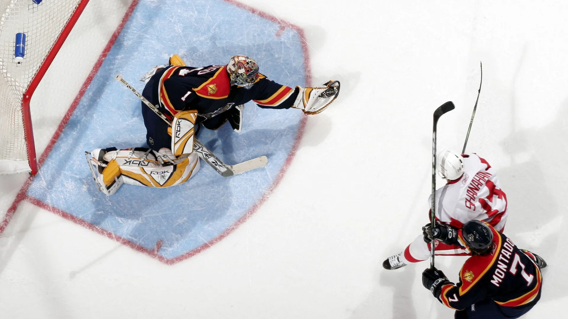 Roberto Luongo (Source: Eliot J. Schechter/Getty Images)