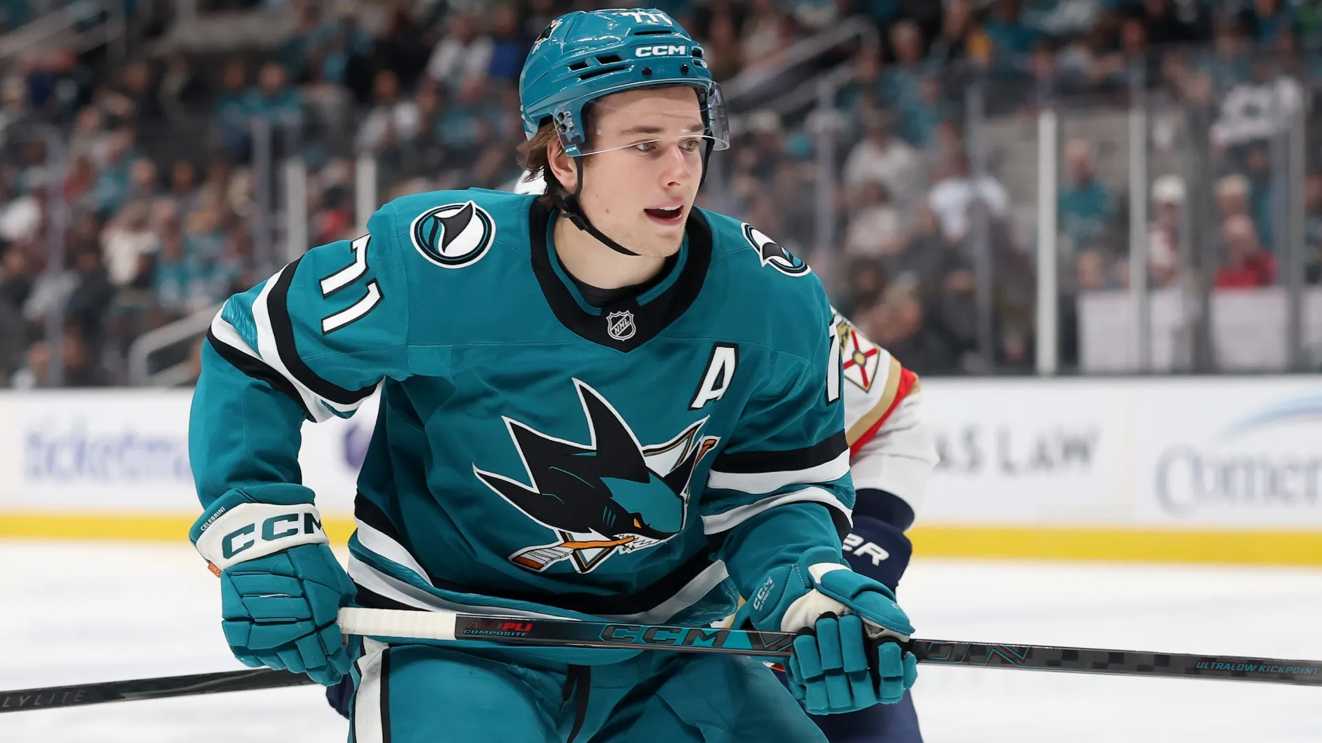 Macklin Celebrini #71 of the Sharks in action against the Panthers. Ezra Shaw/Getty Images