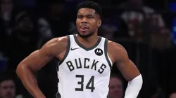 Giannis Antetokounmpo #34 of the Milwaukee Bucks looks on.