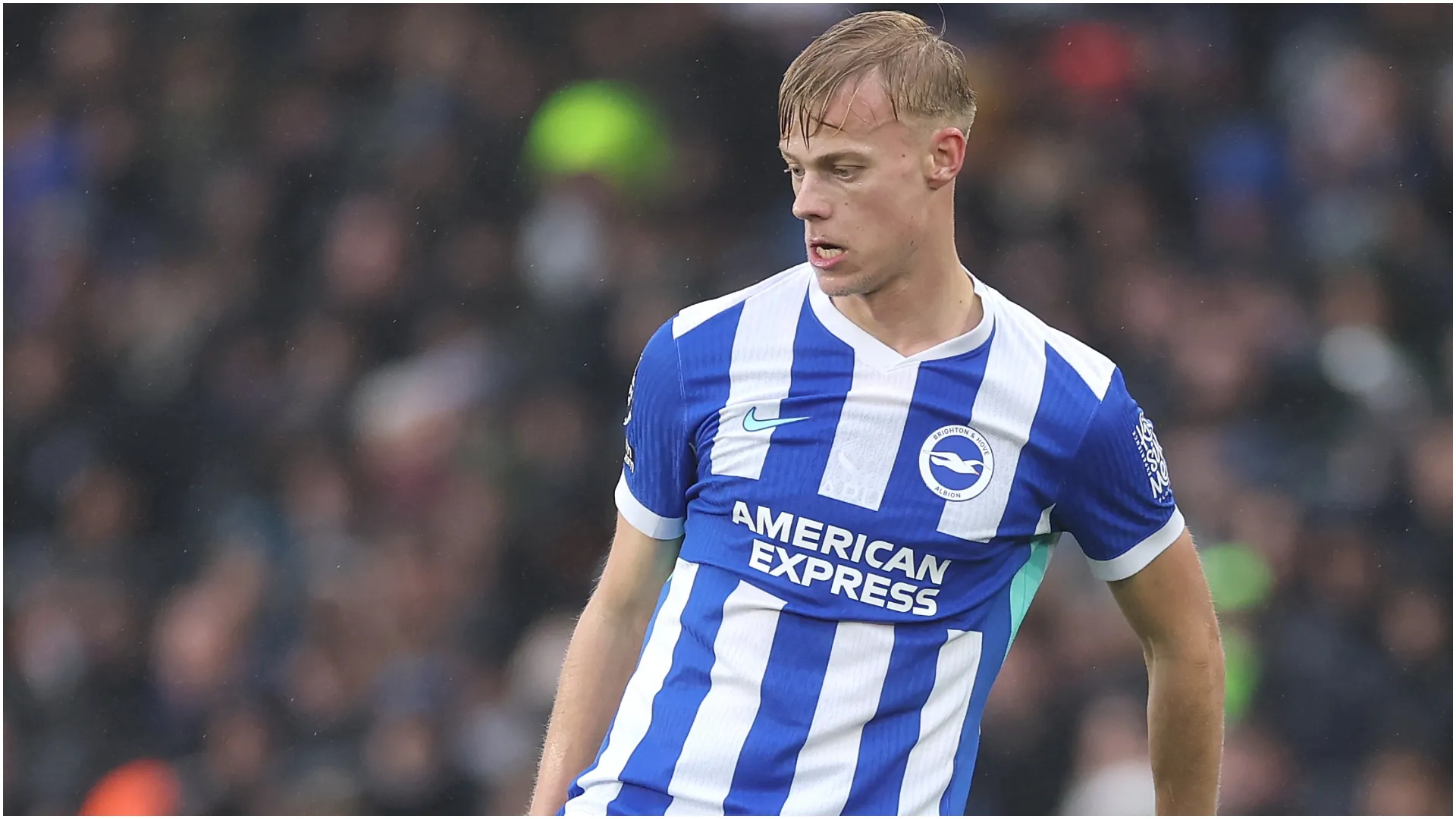 Jan Paul van Hecke of Brighton & Hove – Warren Little/Getty Images