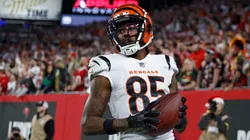 Tee Higgins #85 of the Cincinnati Bengals