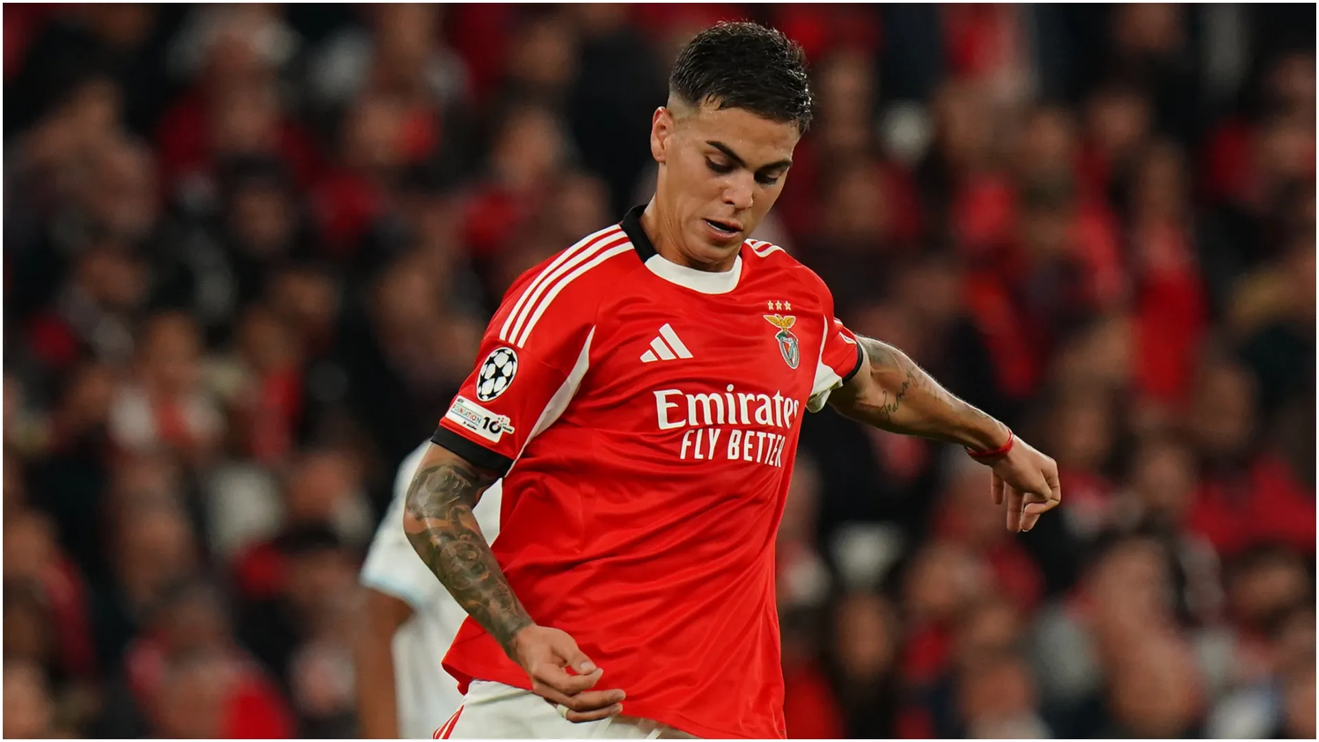 Enzo Barrenechea of SL Benfica – Gualter Fatia/Getty Images