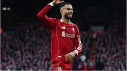 Cody Gakpo of Liverpool