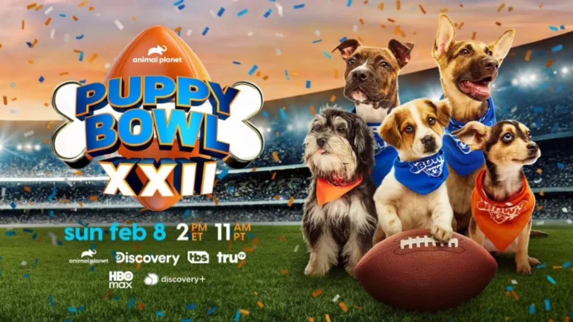 Puppy Bowl 2026 (Source: Animal Planet)