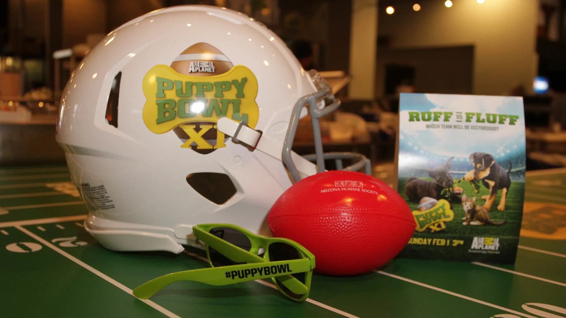 Atmosphere during the Animal Planet’s Puppy Bowl Cafe in 2015 (Source: John Parra/Getty Images for Discovery.com)