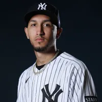 Aaron Boone has in Elmer Rodriguez a strong alternative for the NY Yankees