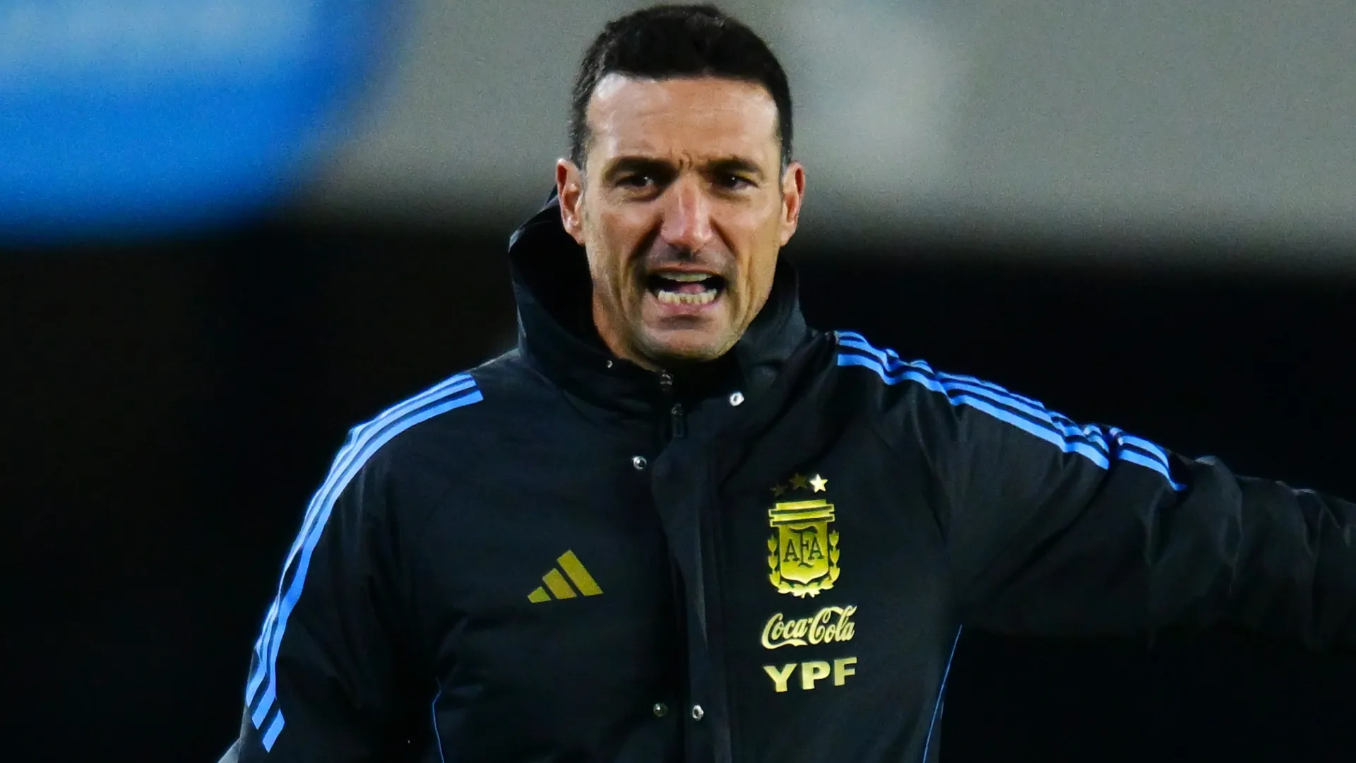 Lionel Scaloni, Head Coach of Argentina