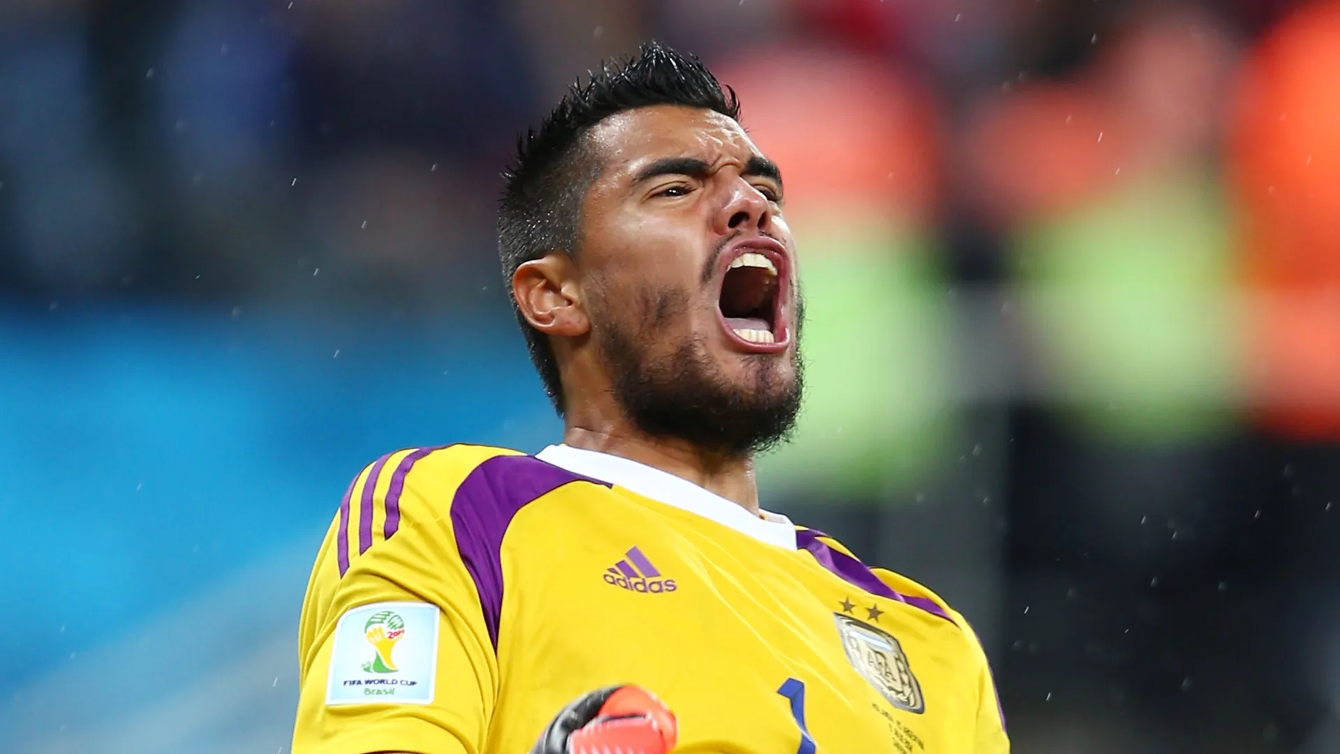 Sergio Romero during the 2014 World Cup.