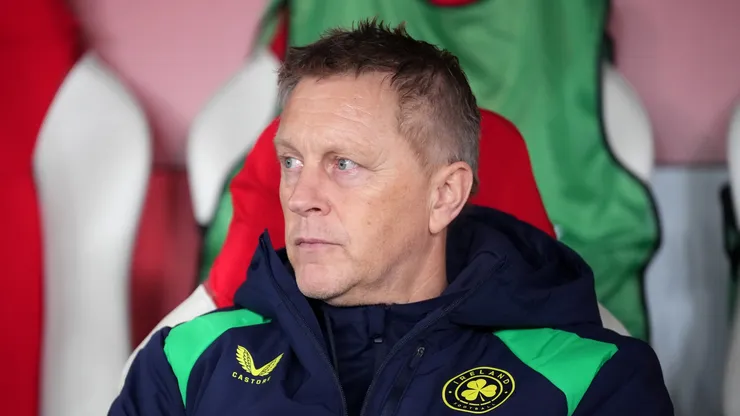 Ireland coach Heimir Hallgrimsson before a game.