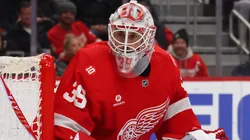 Cam Talbot #39 of the Red Wings plays against the Mammoth.