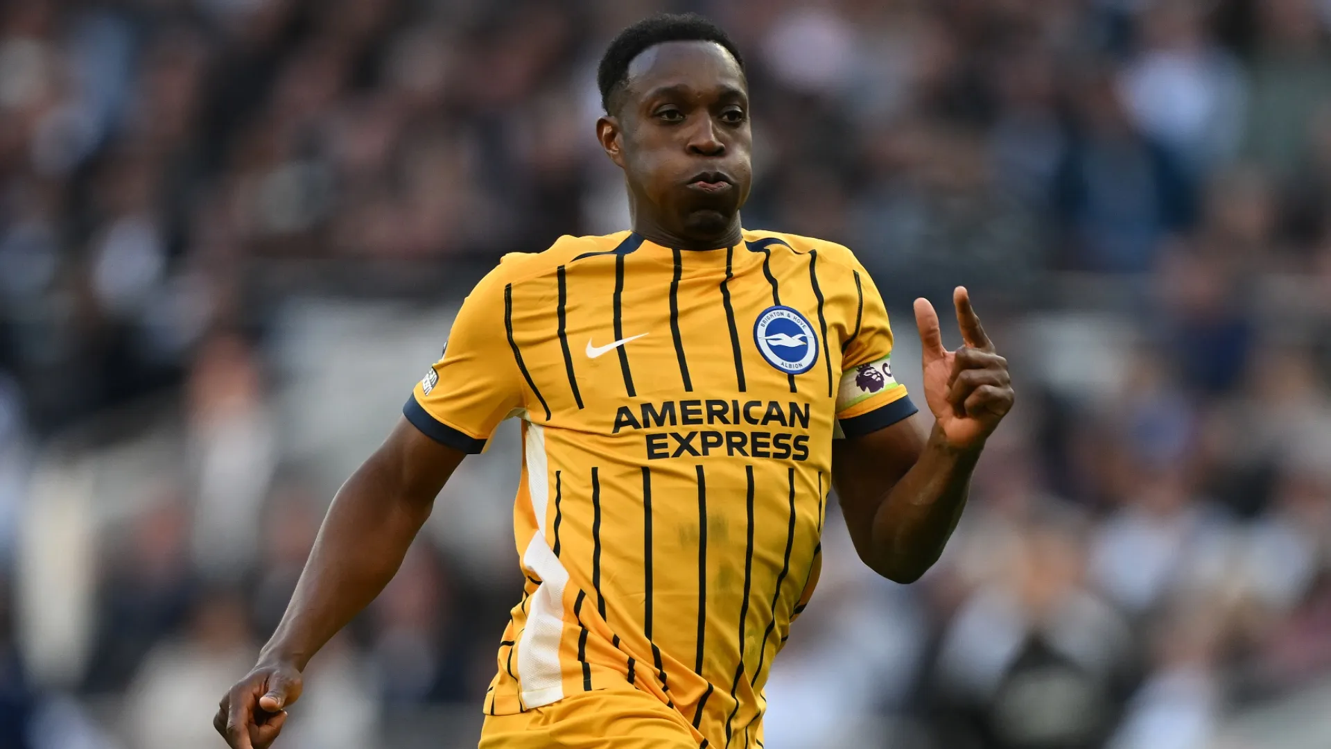 Danny Welbeck of Brighton – Mike Hewitt/Getty Images