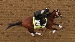 Renegade during the 2026 Kentucky Derby trainings