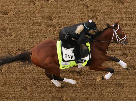 Who owns Renegade and how much is the horse worth?