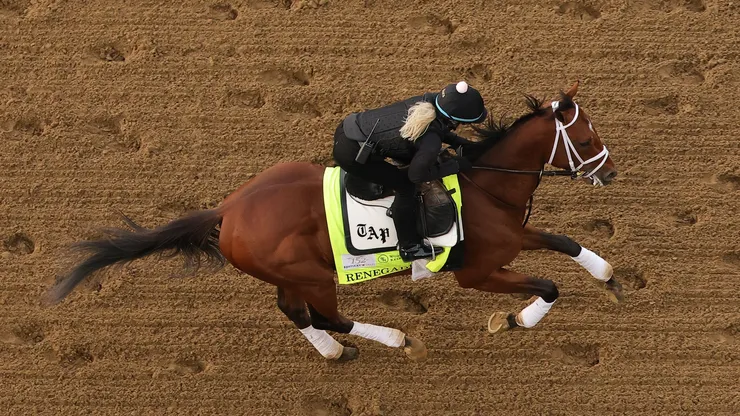 Renegade during the 2026 Kentucky Derby trainings