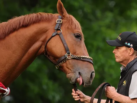 Kentucky Derby horses 2026: names, jockeys and trainers