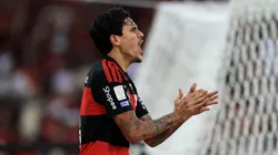 Pedro of Flamengo