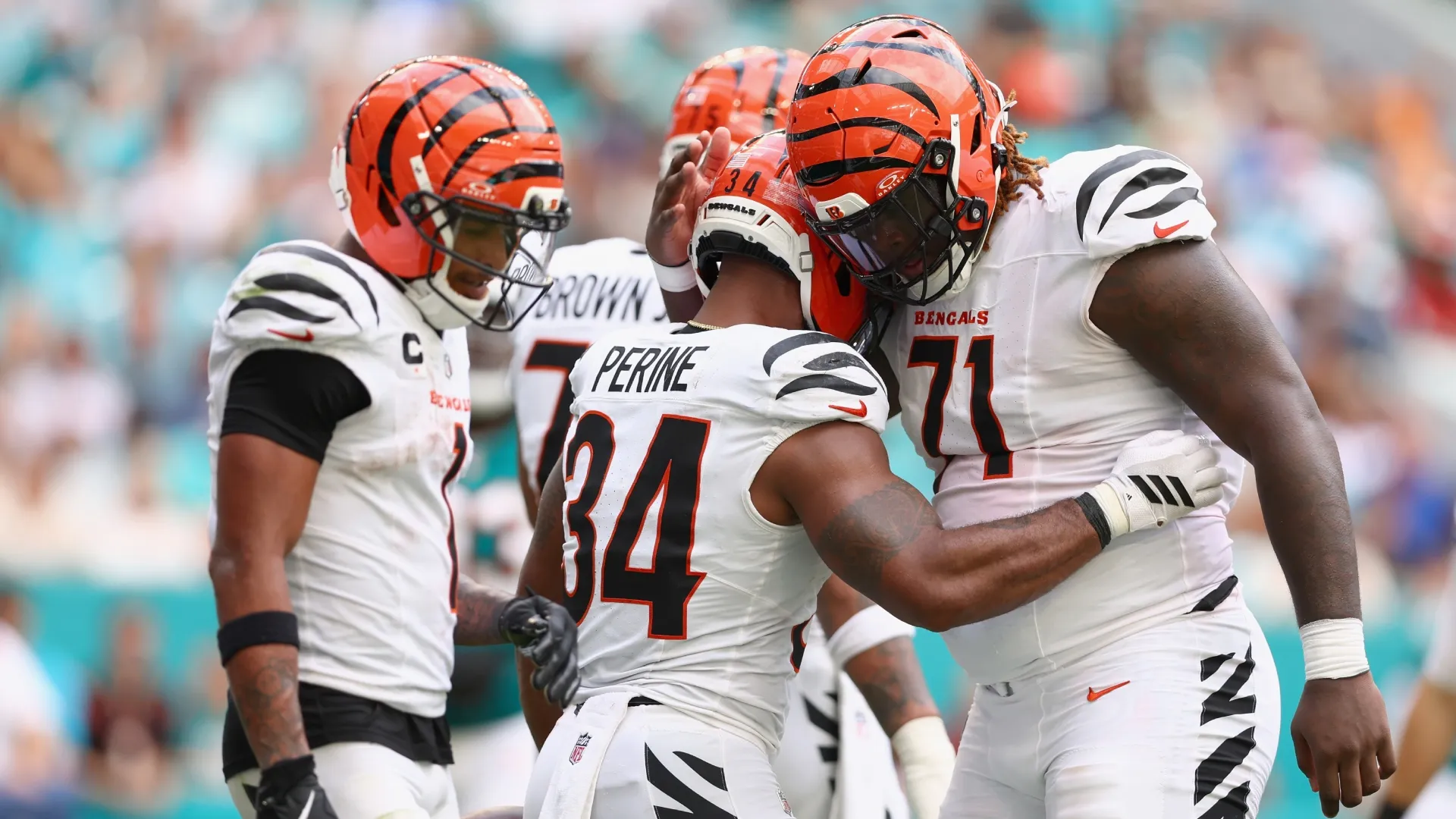 Cincinnati Bengals