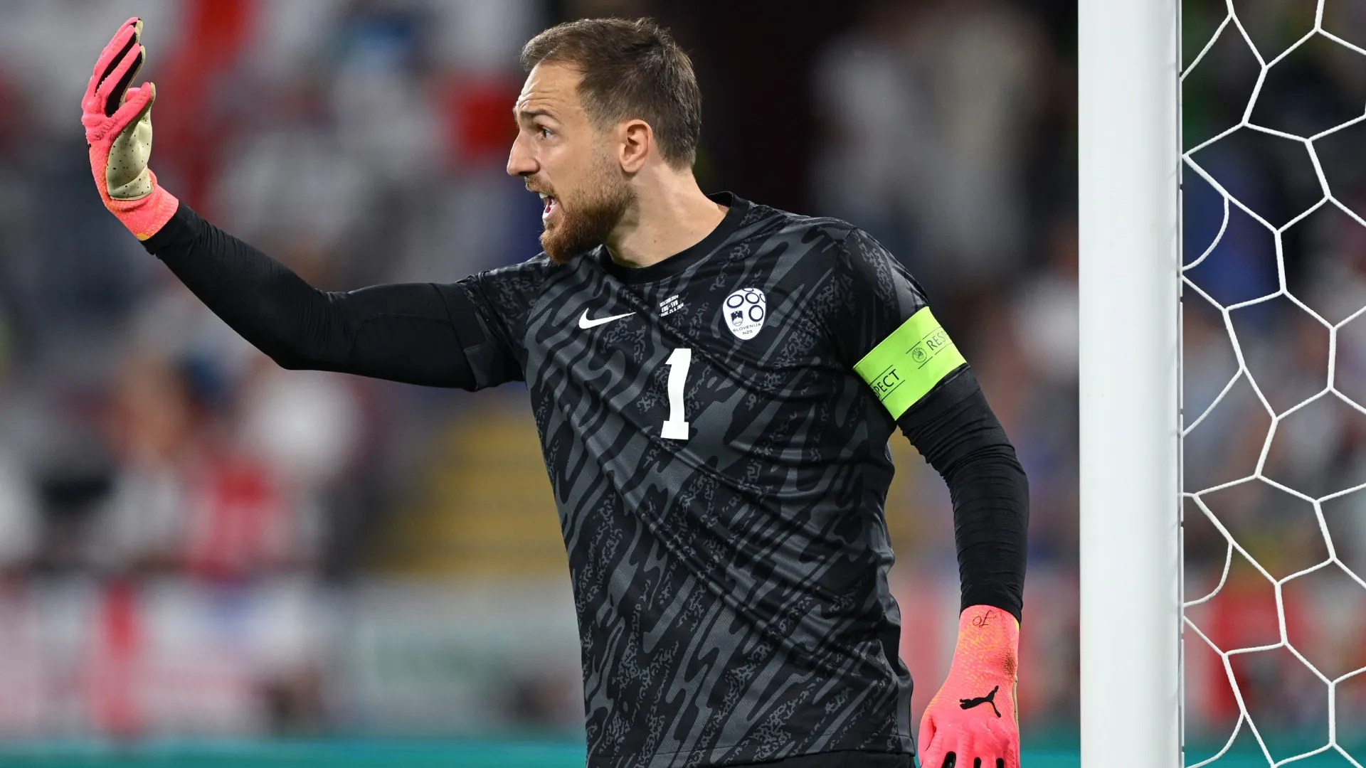 Slovenia goalkeeper Jan Oblak – Stu Forster/Getty Images