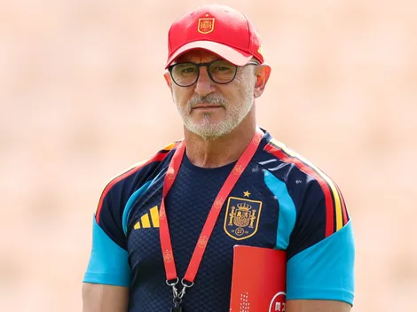 Who is Spain's 2026 World Cup coach? Luis de la Fuente's profile
