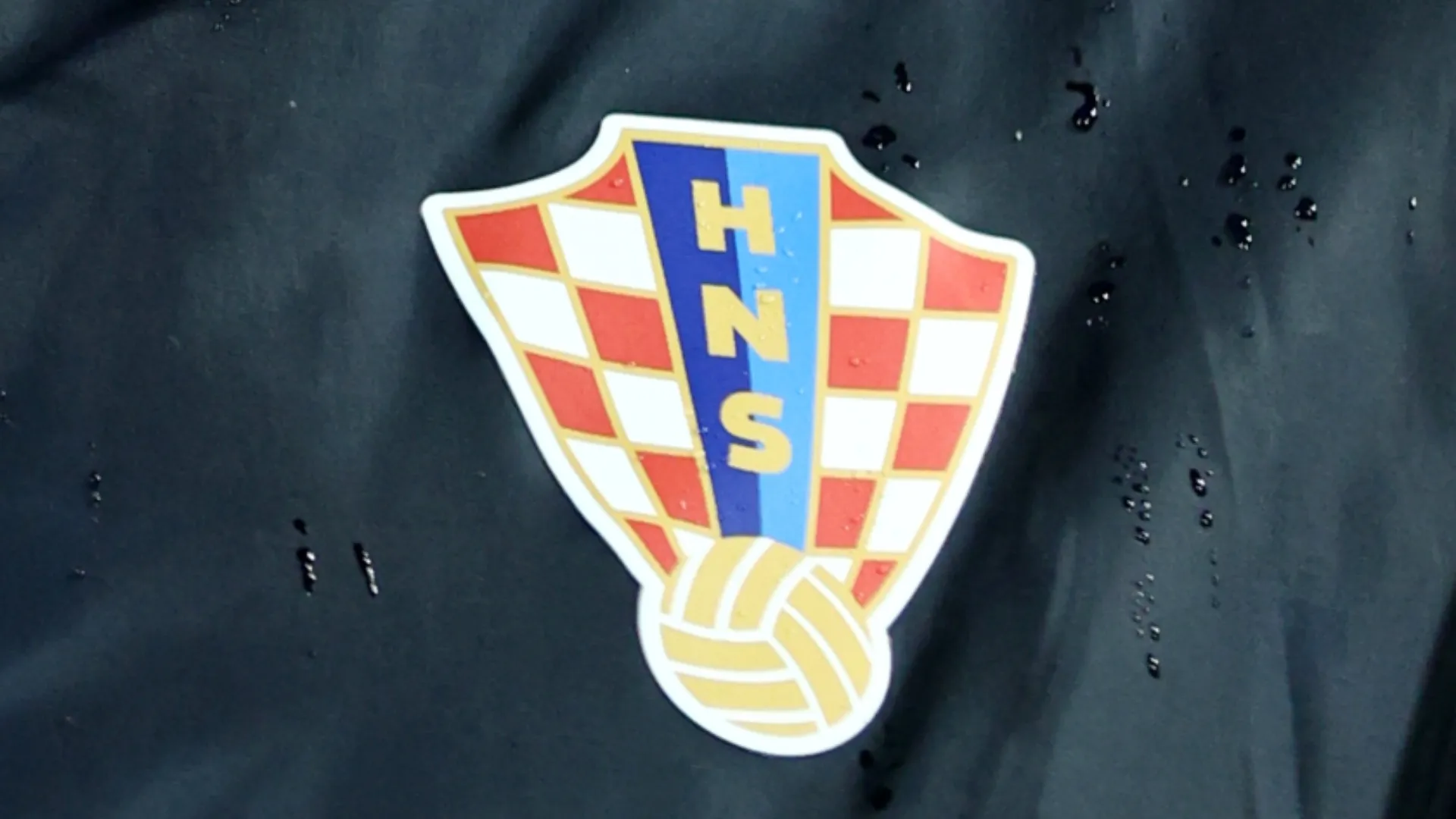 Close up look at Croatia’s crest.