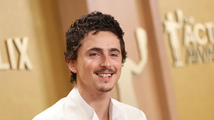 Timothee Chalamet, famous actor