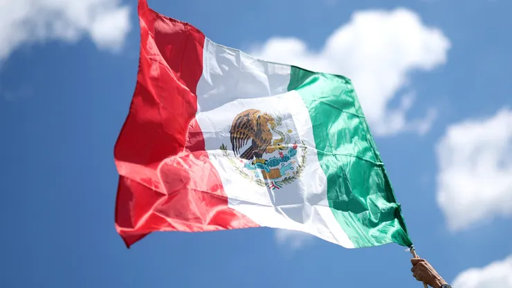 A fan of Mexico waves the national flag of Mexico
