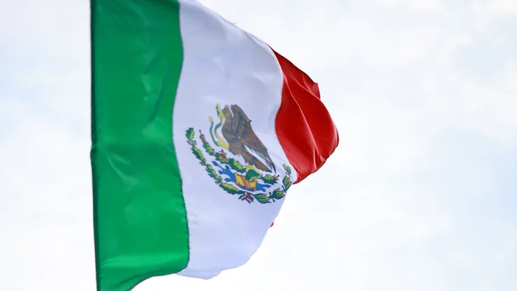 A fan waves a Mexican flag