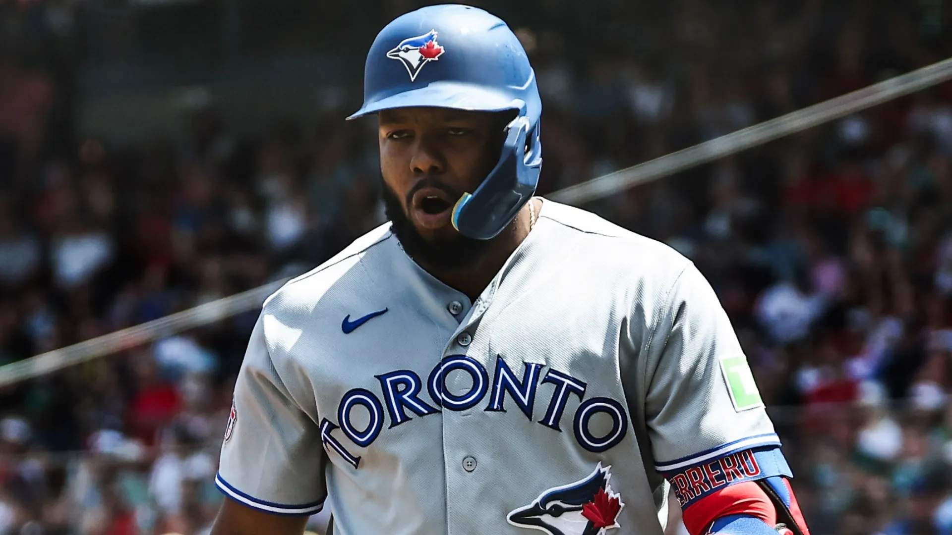 Vladimir Guerrero Jr